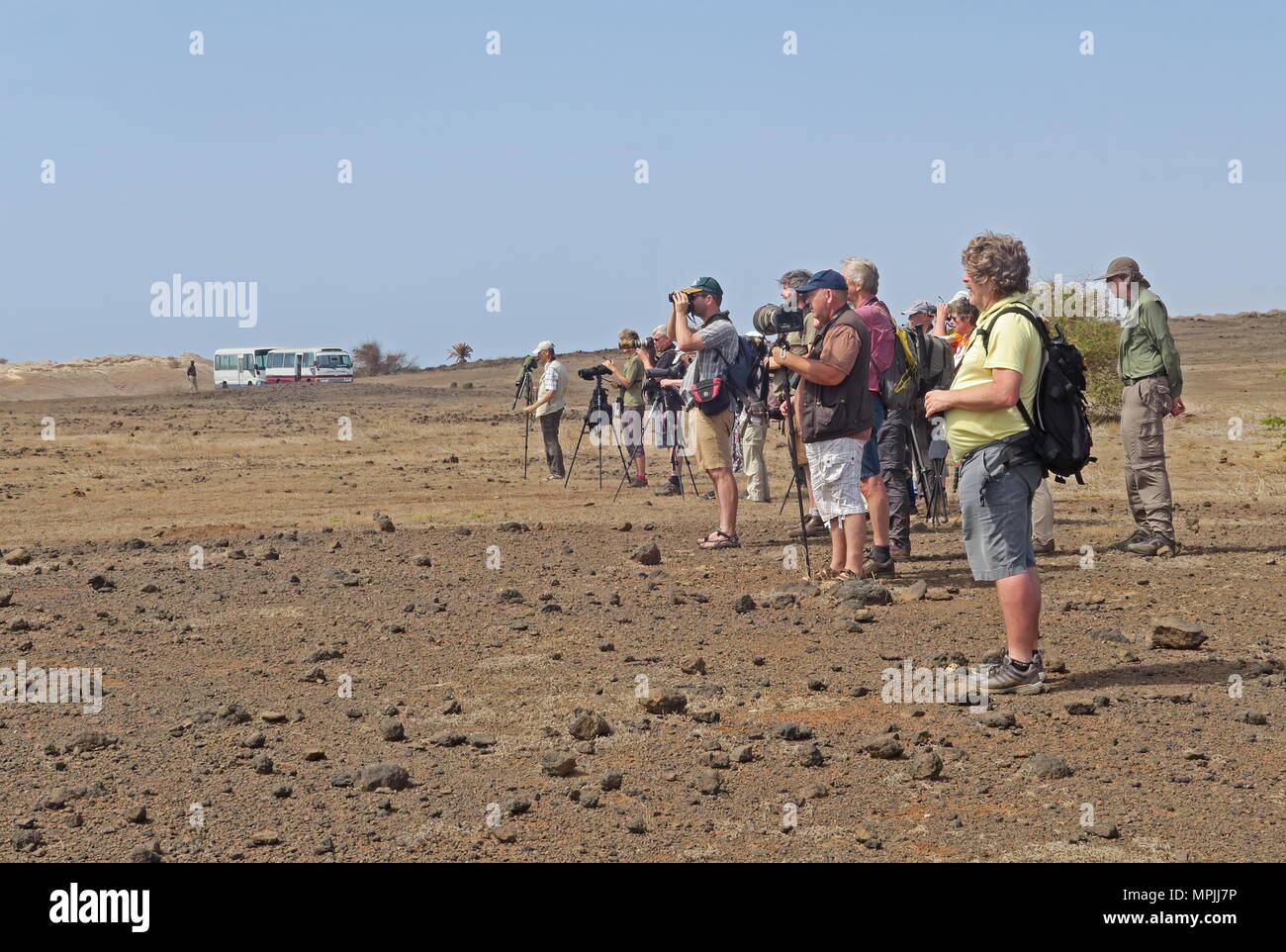 Gruppe der Vogelbeobachter auf Stony Plain Insel Santiago, Kap Verde April Stockfoto