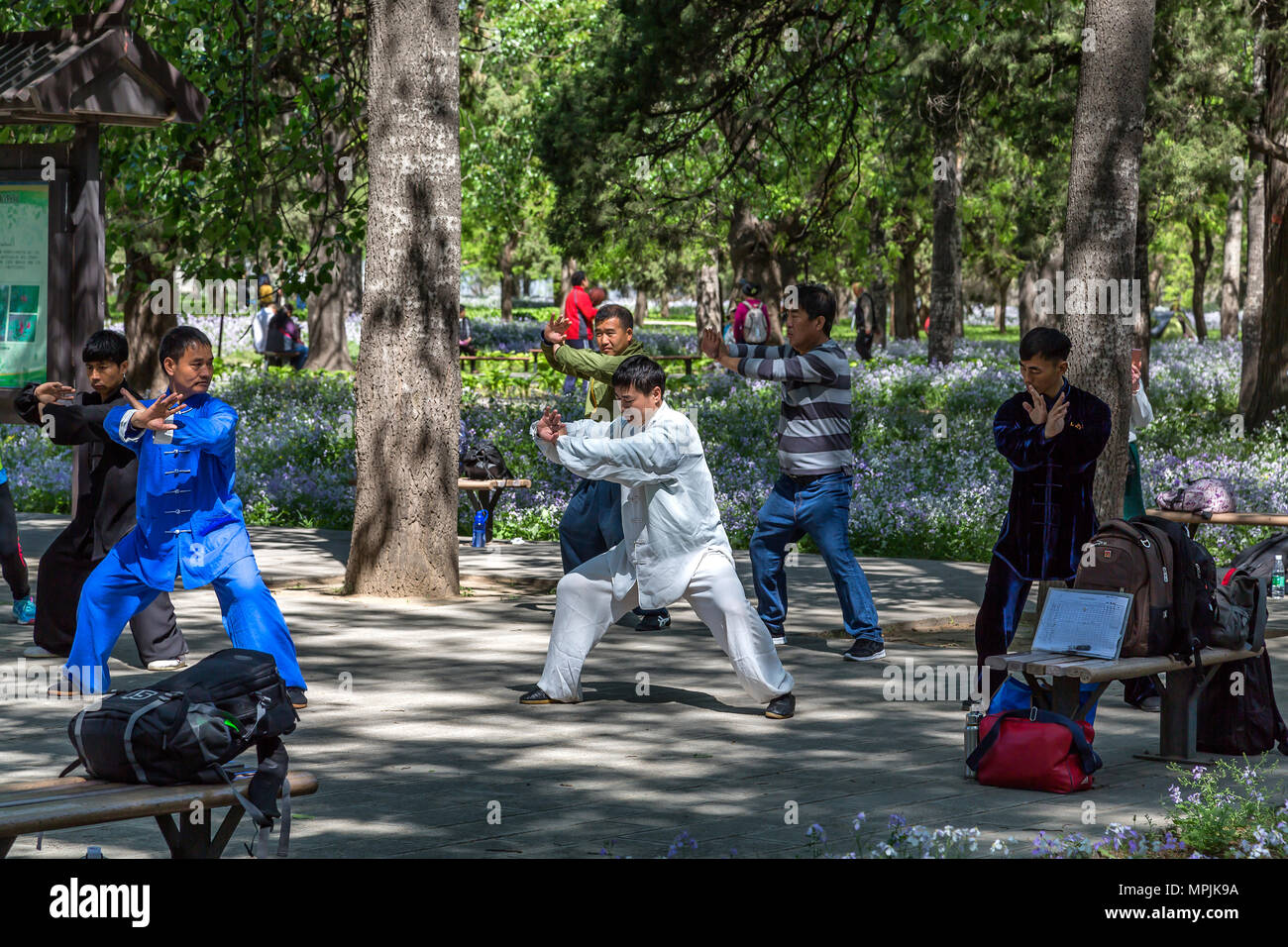Eine Tai Chi Ausbilder mit seinen Studenten in Peking, China Stockfoto