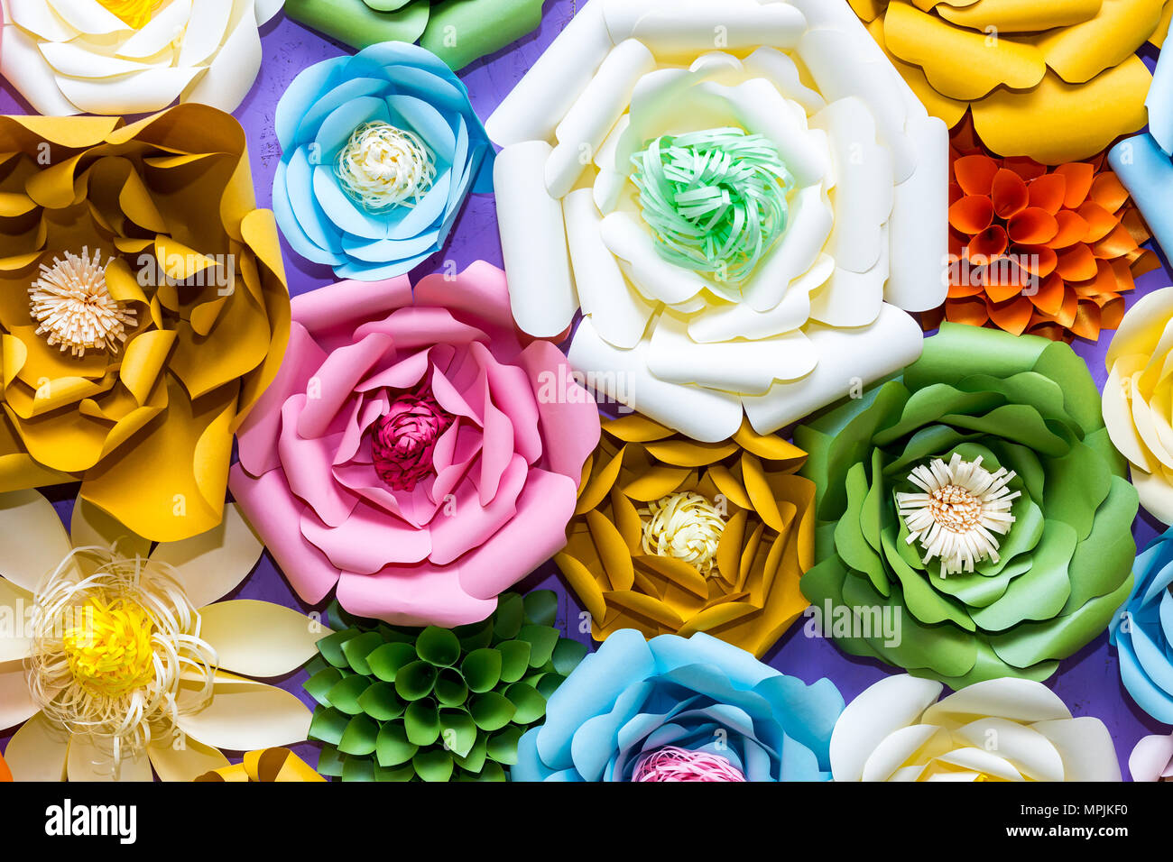 Bunte Papier Blumen an der Wand. Handgefertigte künstliche Blumenschmuck. Frühling abstrakt schön Hintergrund und Textur. Stockfoto