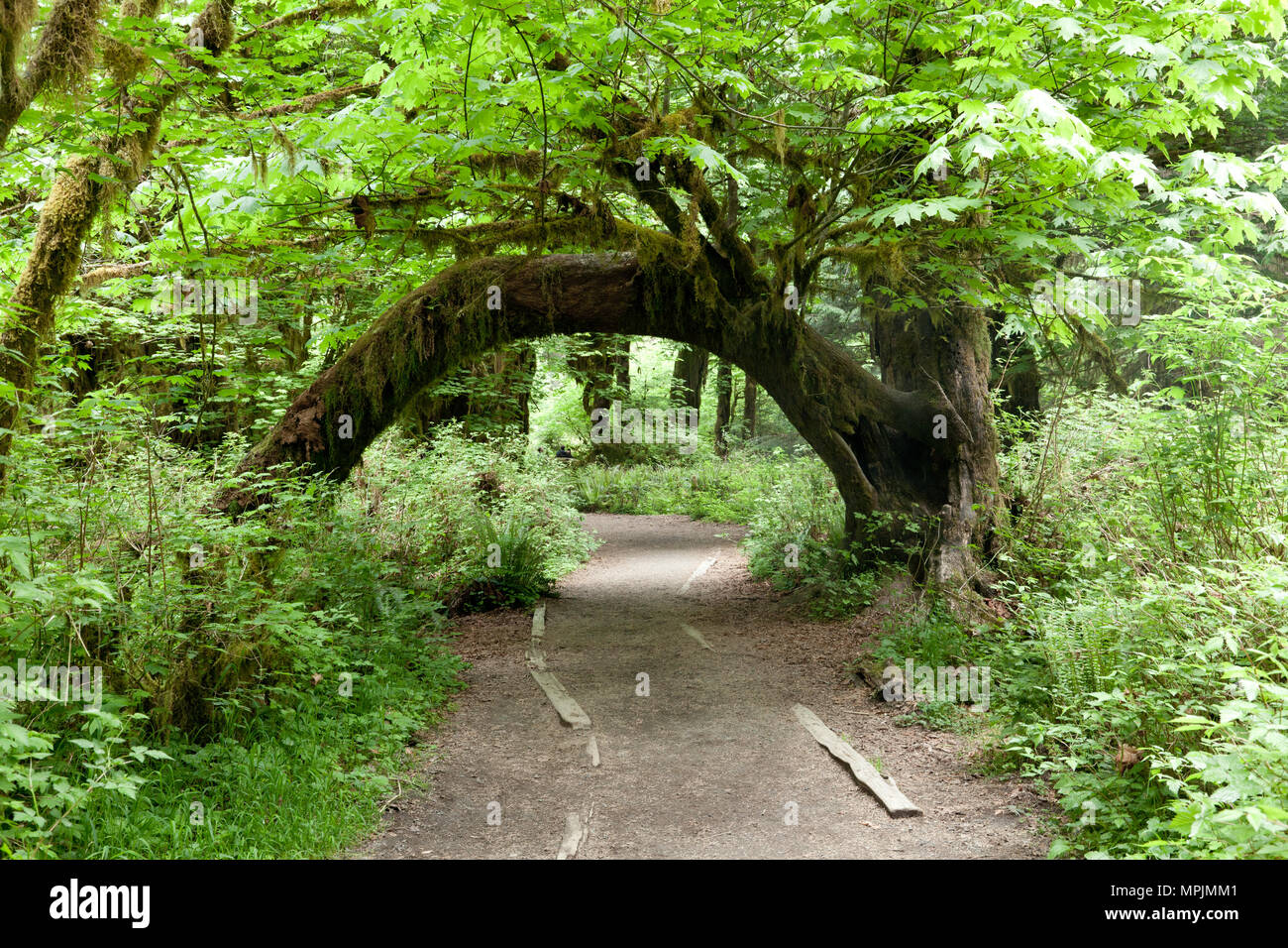 washington-natur-fotos-und-bildmaterial-in-hoher-aufl-sung-alamy