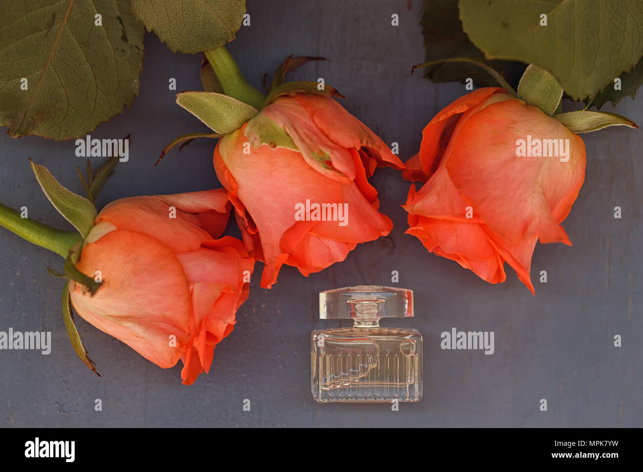Miniatur Flasche Parfüm neben den drei Rosen auf Holz- Hintergrund Stockfoto