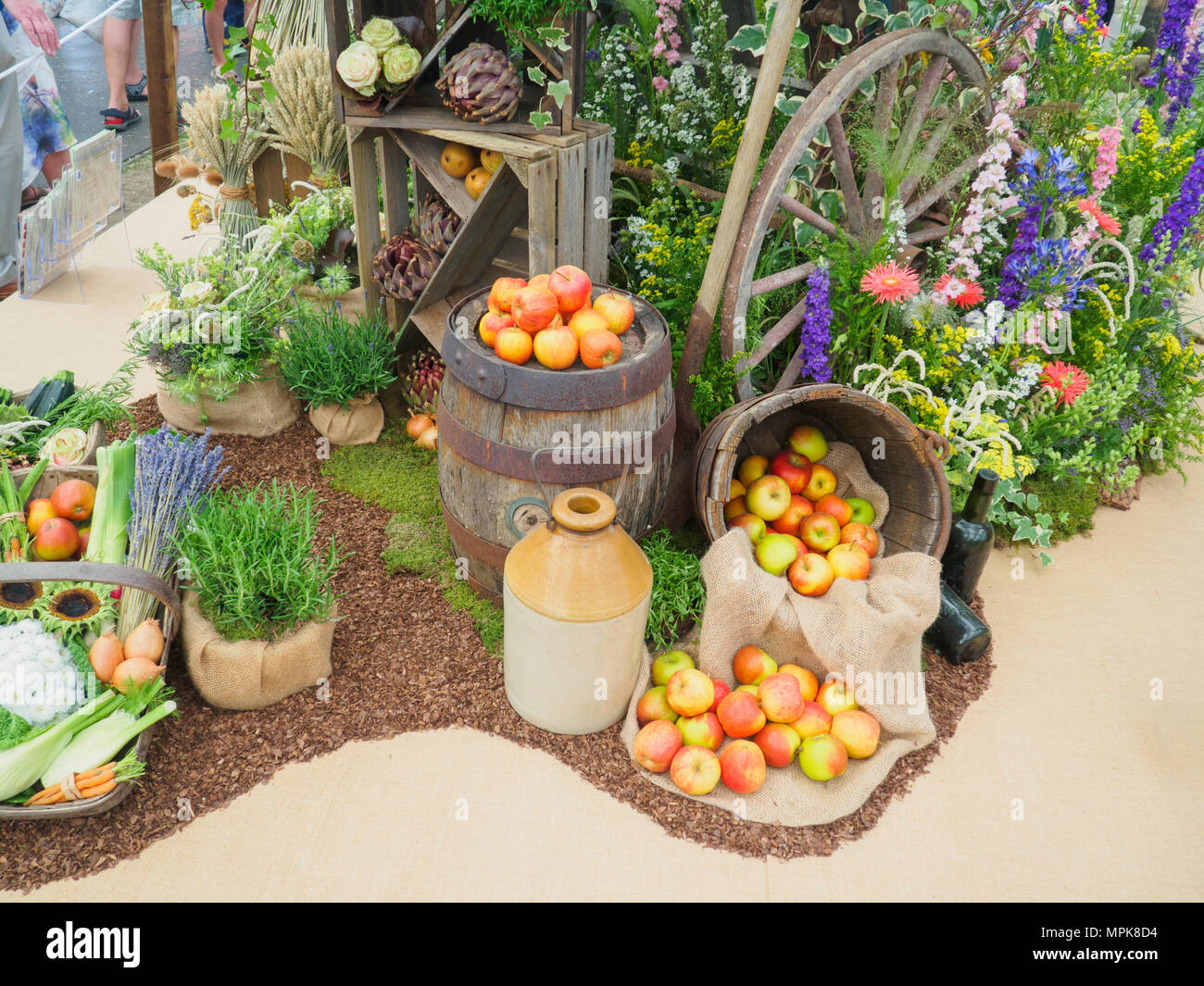 RHS Chelsea Flower Show 2017. Eine schöne Frucht, vegs, Pflanzen und Blumen Anzeige der großen Pavillon. Stockfoto