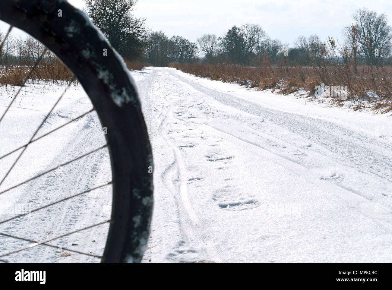 Fahrrad im Winter im Schnee, Fahrrad Rad im Schnee, ein Fahrrad im Winter im Schnee fahren Stockfoto