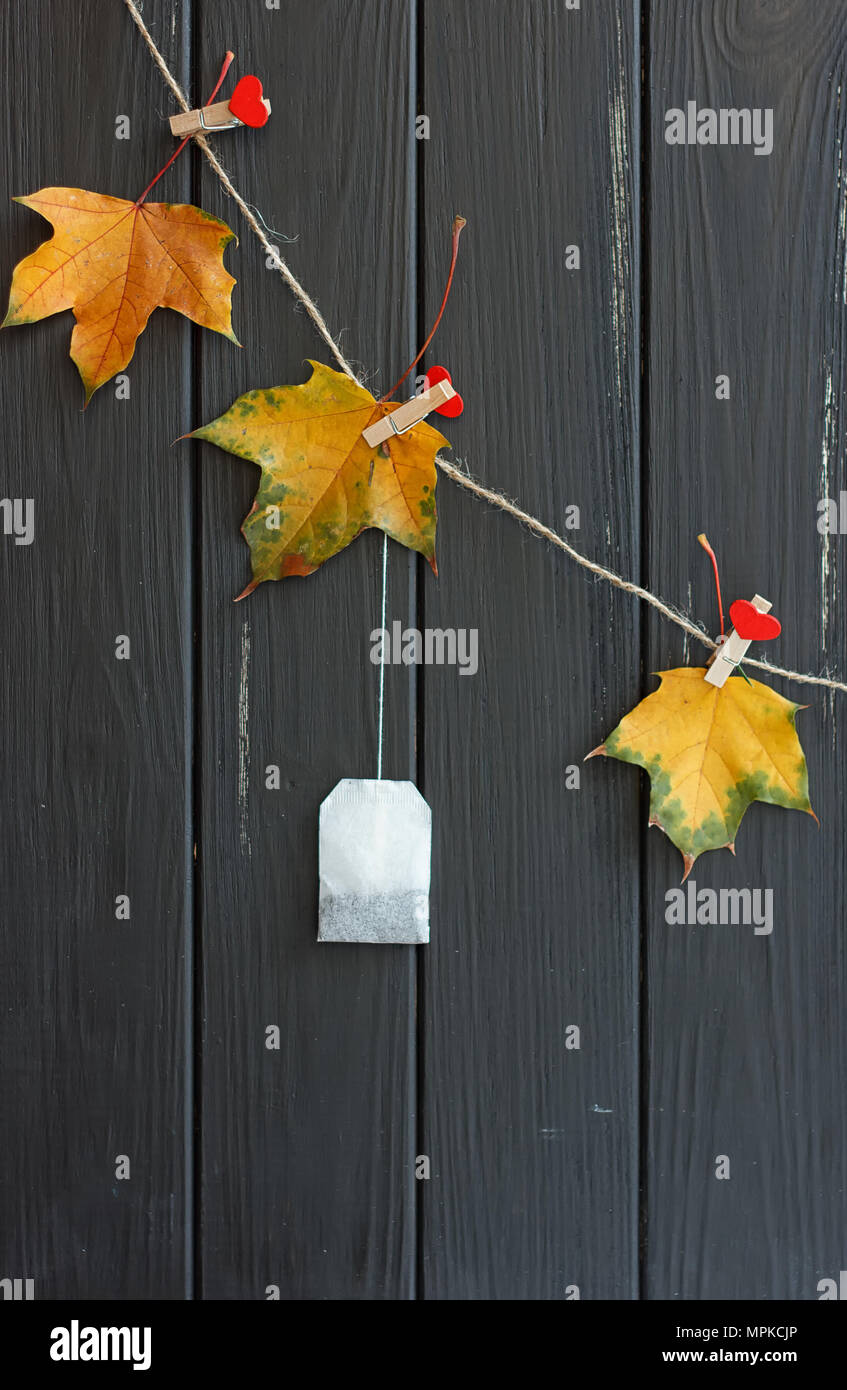 Herbst noch Leben - gelbe Blätter und Tee Beutel auf wäscheklammern Stockfoto