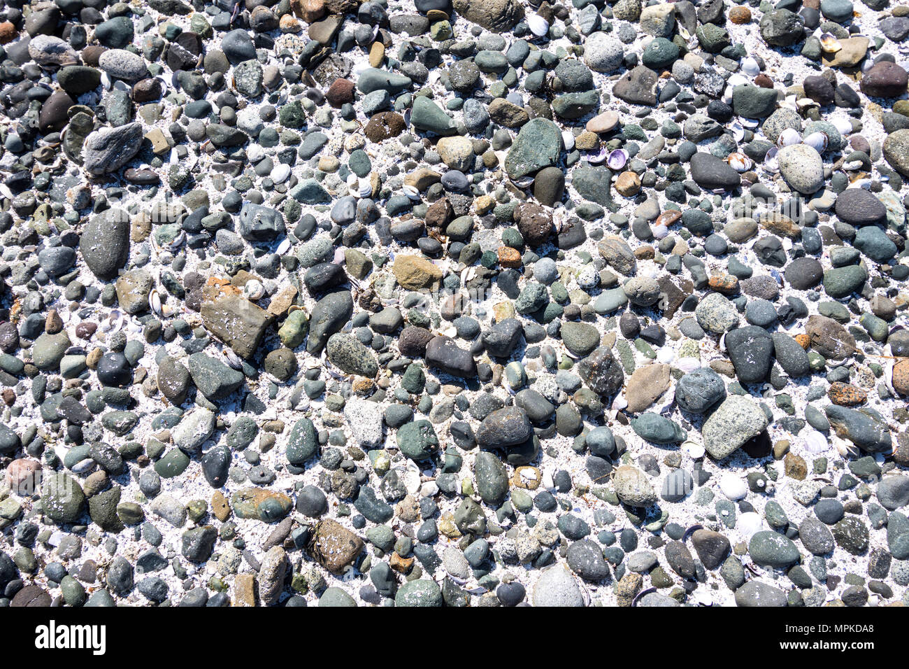 Kieselsteine am Strand - Hornby Island, BC, Kanada. Stockfoto