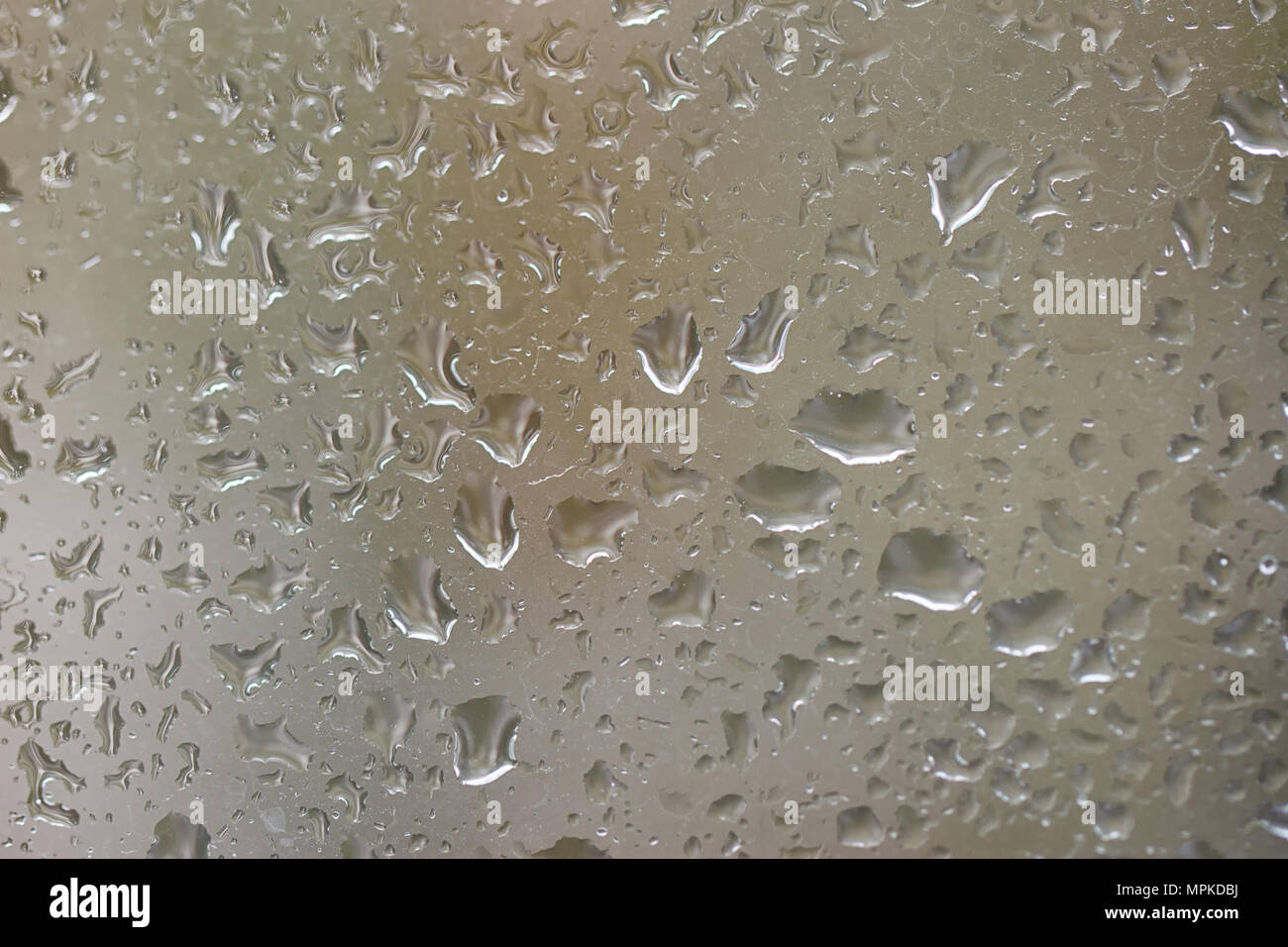 Auf einem Herbst Tag regnet. Wassertropfen auf dem Fenster. Stockfoto