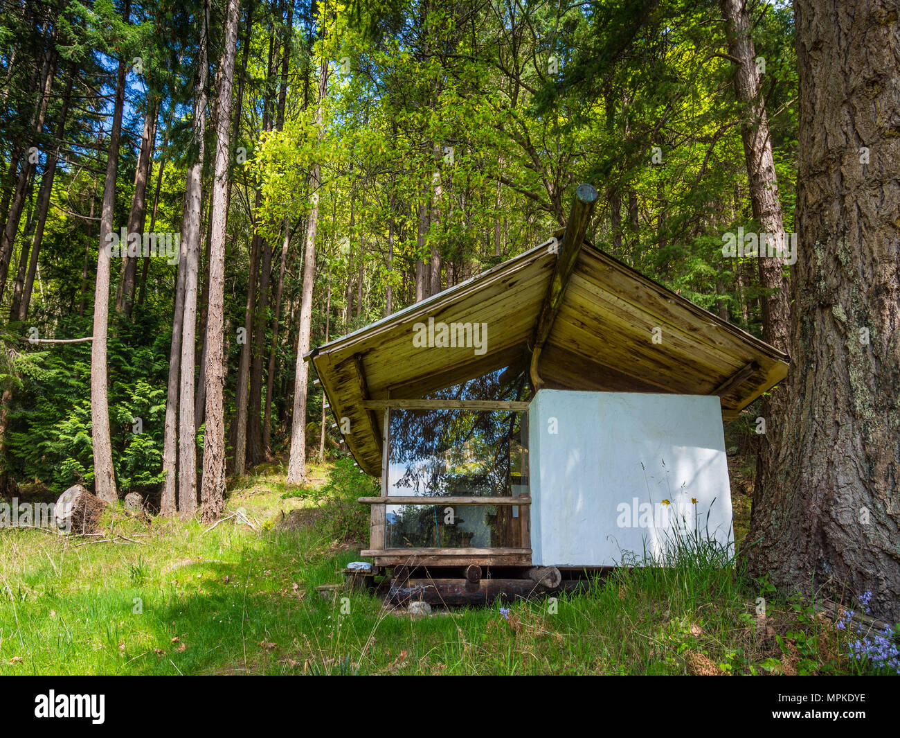 Minimalistische Hütte im Wald - Hornby Island, BC, Kanada. Stockfoto