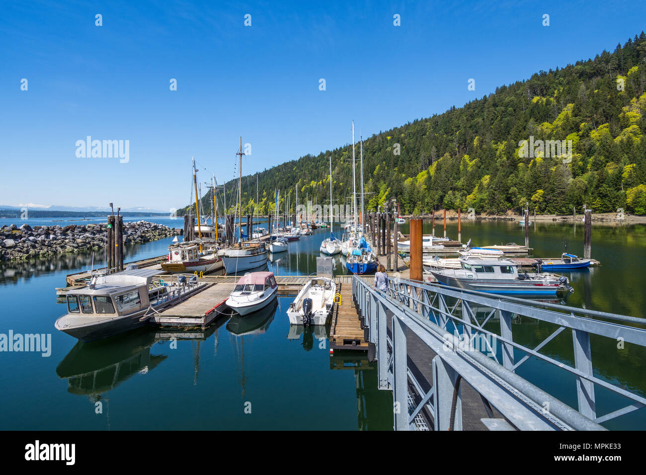 Yachten und Boote in Ford Cove Marina - Hornby Island, BC, Kanada. Stockfoto