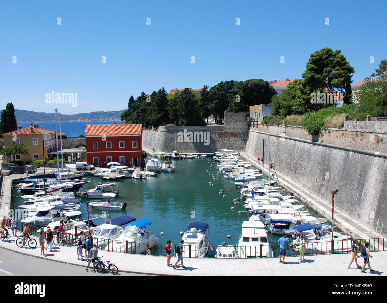 Stadt, Hafen, Zadar, Kroatien Stockfoto