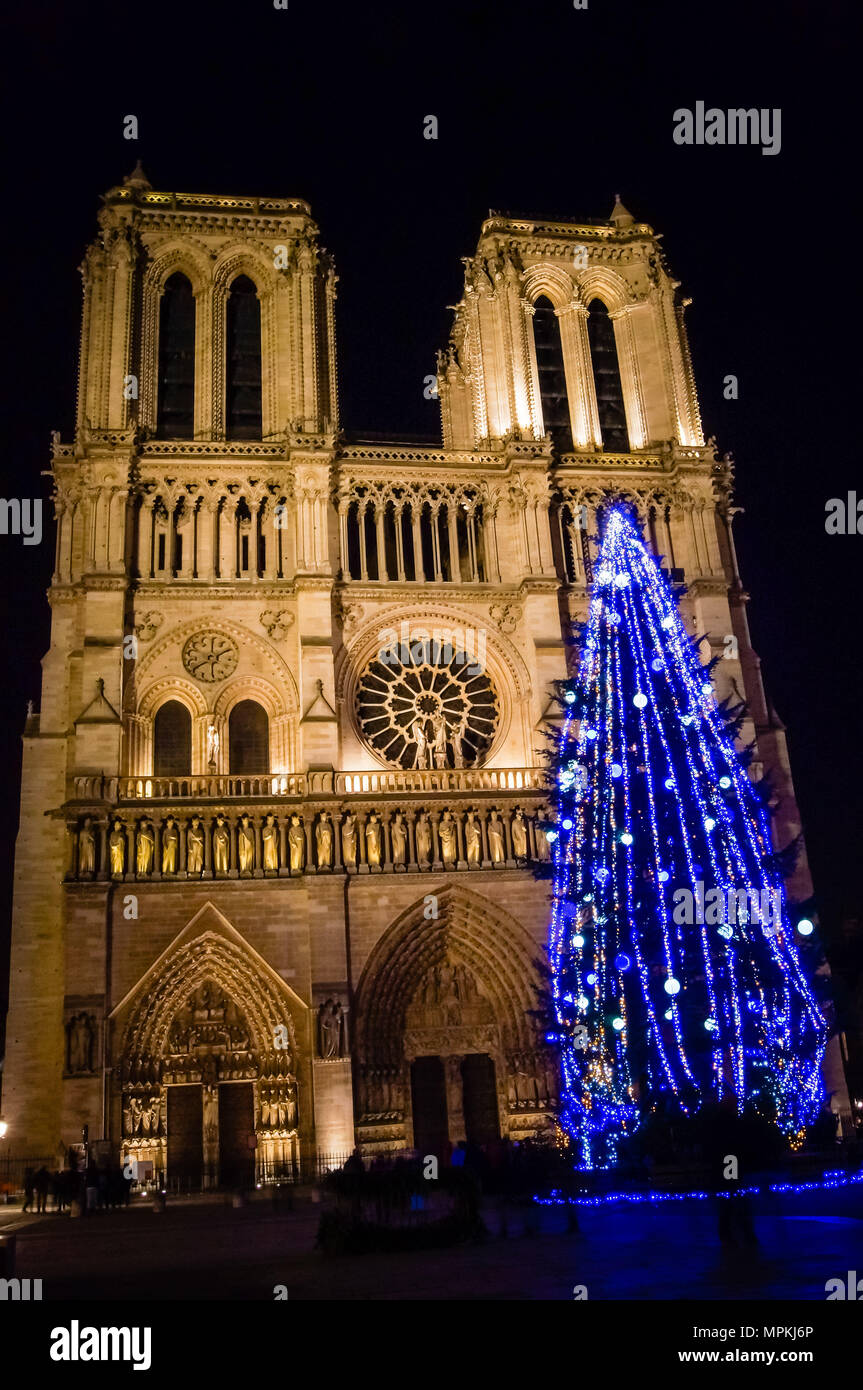 Weihnachtsbaum in Paris, vor der notre-dame-de-Paris die Kathedrale im Winter bei Nacht Stockfoto