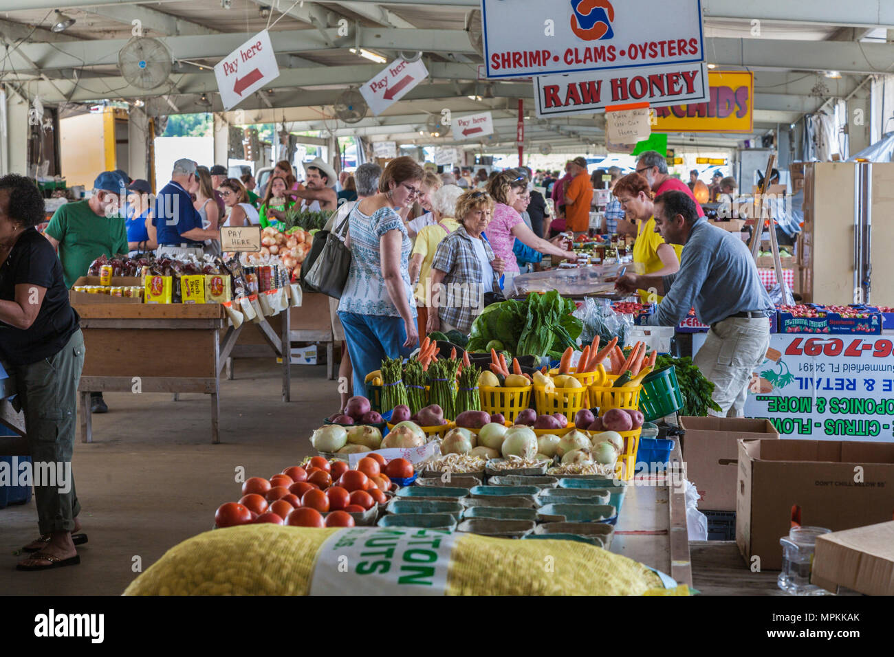 Frauen einkaufen für Produkte auf einem Bauernmarkt in Ocala, Florida, USA Stockfoto