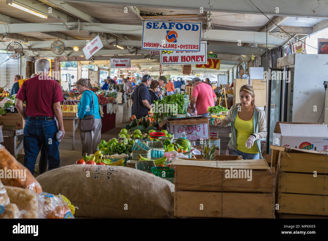 Einkaufen von Produkten auf einem Bauernmarkt in Ocala, Florida, USA Stockfoto