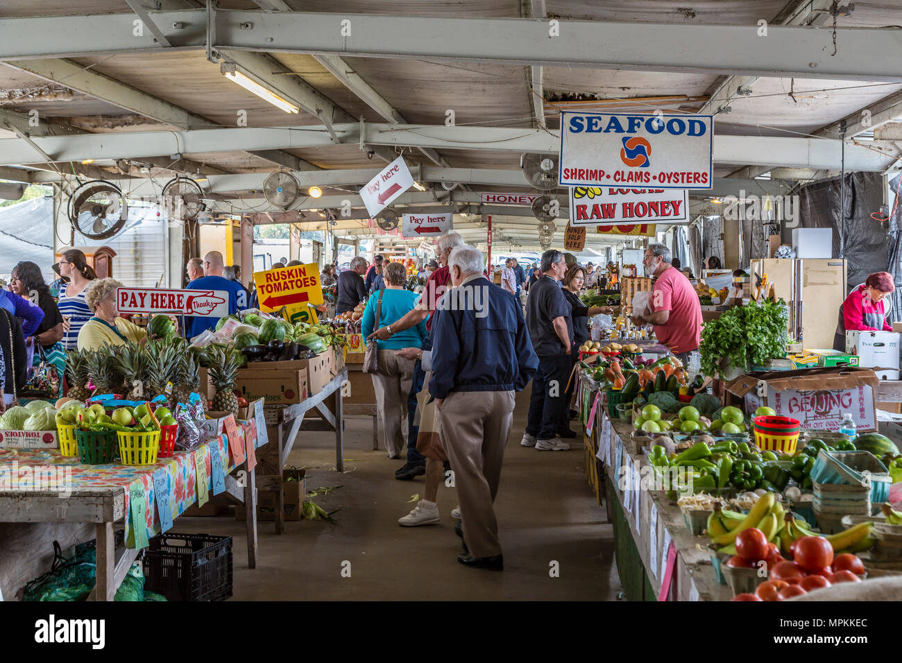 Einkaufen von Produkten auf einem Bauernmarkt in Ocala, Florida, USA Stockfoto