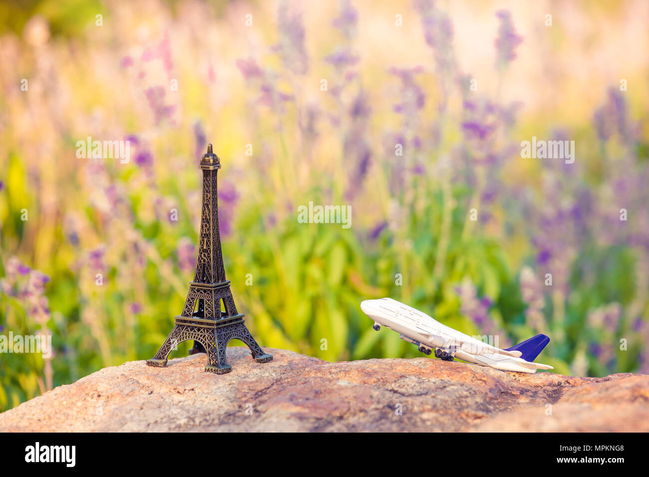 Reisen nach Paris Konzept mit Flugzeug, Lavendel und Eiffelturm. Französische Kultur Stockfoto