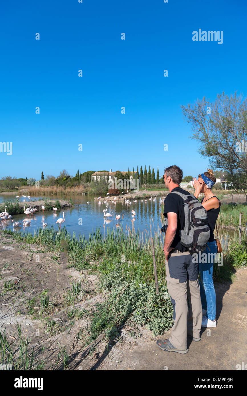 Camargue, Frankreich. Besucher beobachten Flamingos (Phoenicopterus Roseus) im Parc Ornithologique du Pont de Gau, Camargue, Provence, Frankreich. Stockfoto