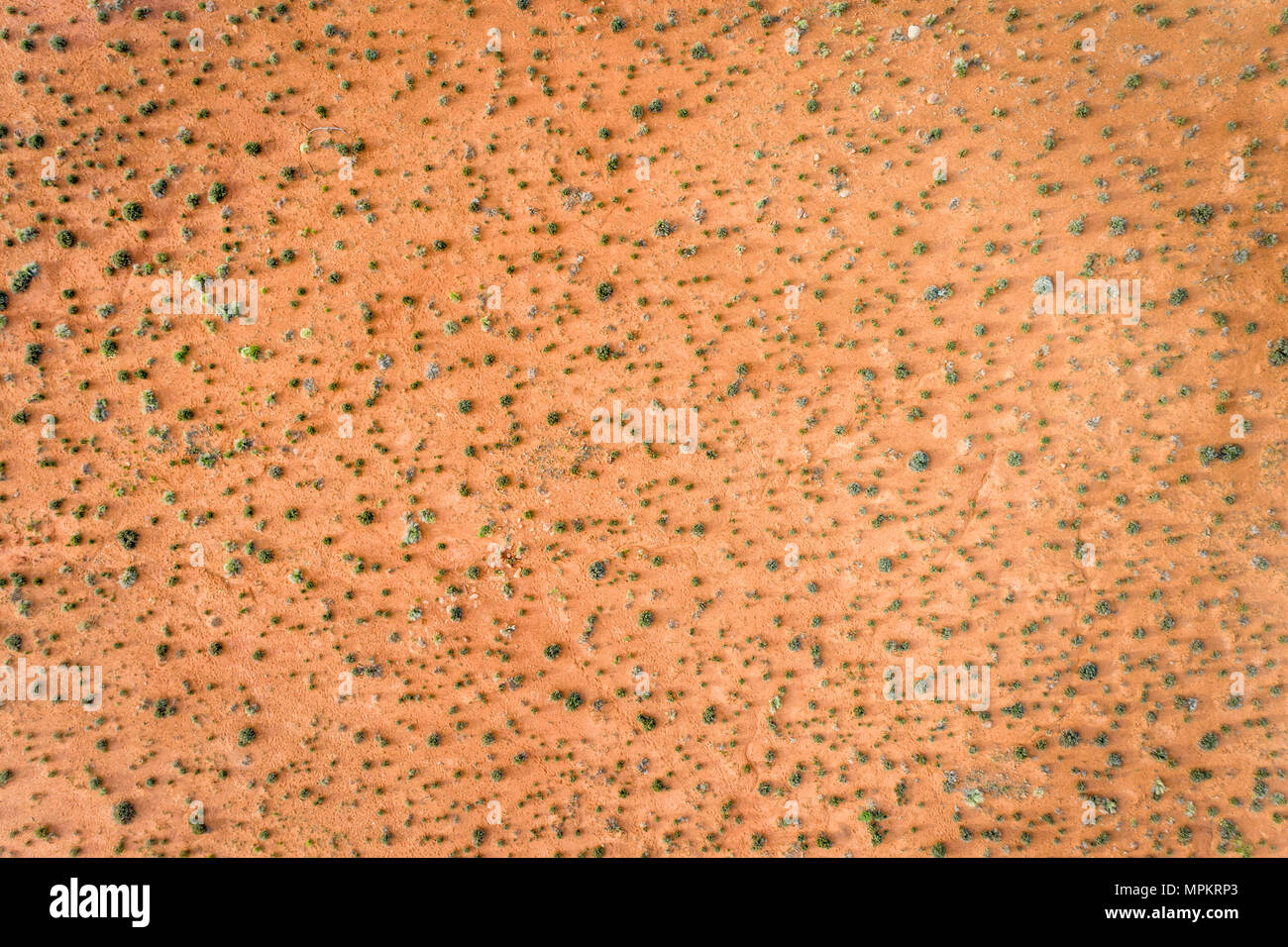 Luftaufnahme von einer Wüste mit groben Vegetation in der Nähe von Moab, Utah Stockfoto