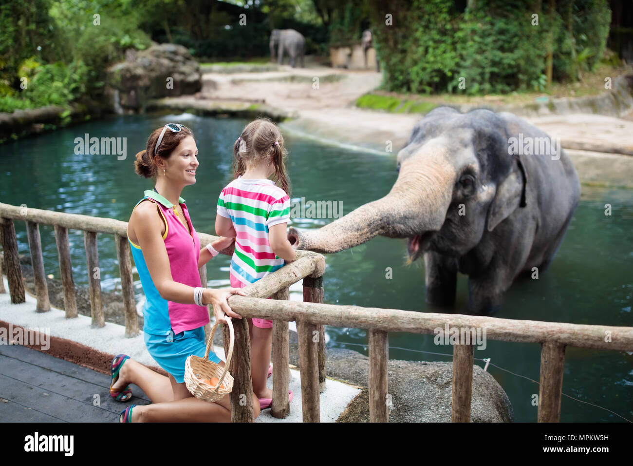 Familie füttern Elefanten im Zoo. Mutter und Kind feed Asiatische Elefanten in tropischen Safari Park im Sommer Urlaub in Singapur. Kinder beobachten der Tiere. Stockfoto