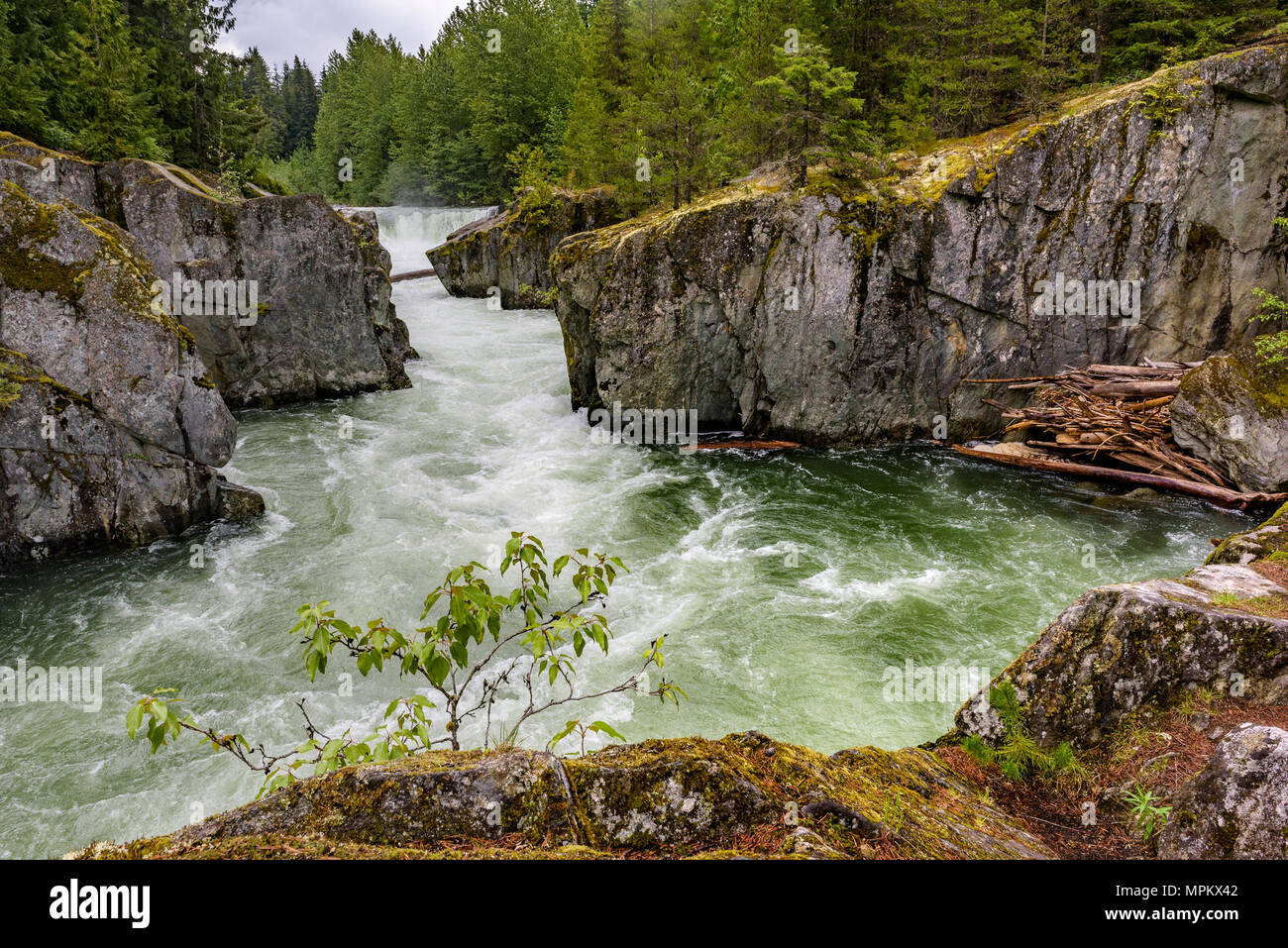 Cheakamus Fluss, Whistler, British Columbia, Kanada. Stockfoto