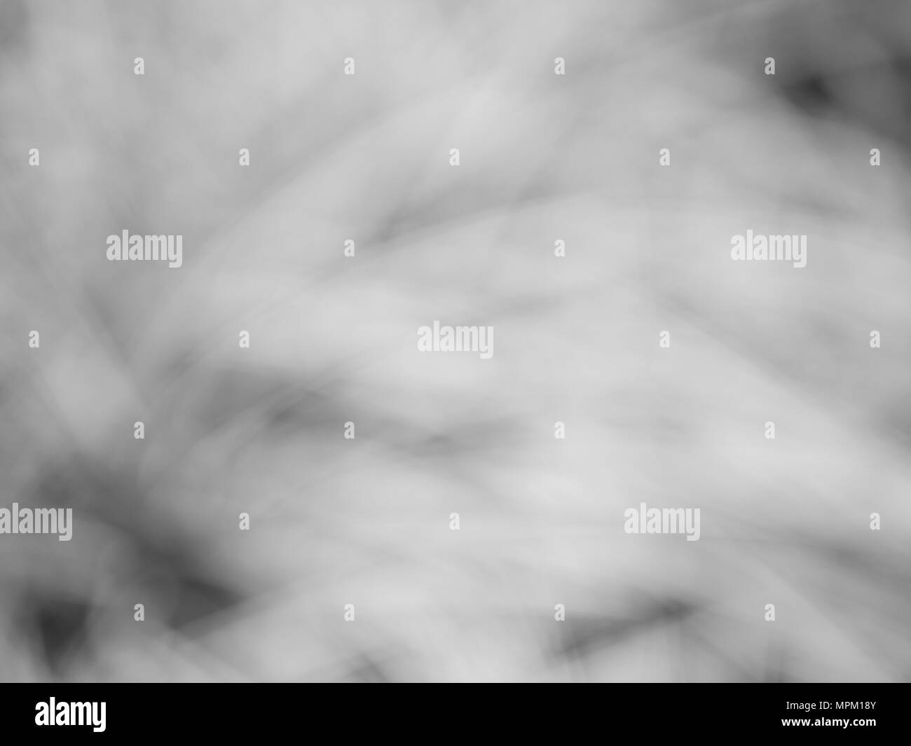 Schwarz und Weiß der abstrakten Hintergrund des natürlichen Lichts bokeh von Blättern mit grün gelb orange Farbe Stockfoto