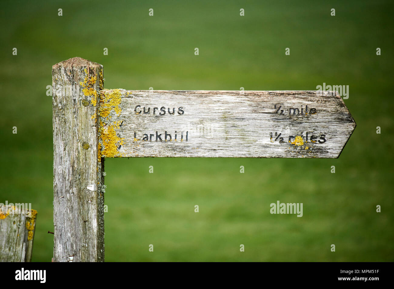 Abgenutzte Holz- Hinweisschild für cursus und larkhill in Stonehenge wiltshire England Großbritannien Stockfoto