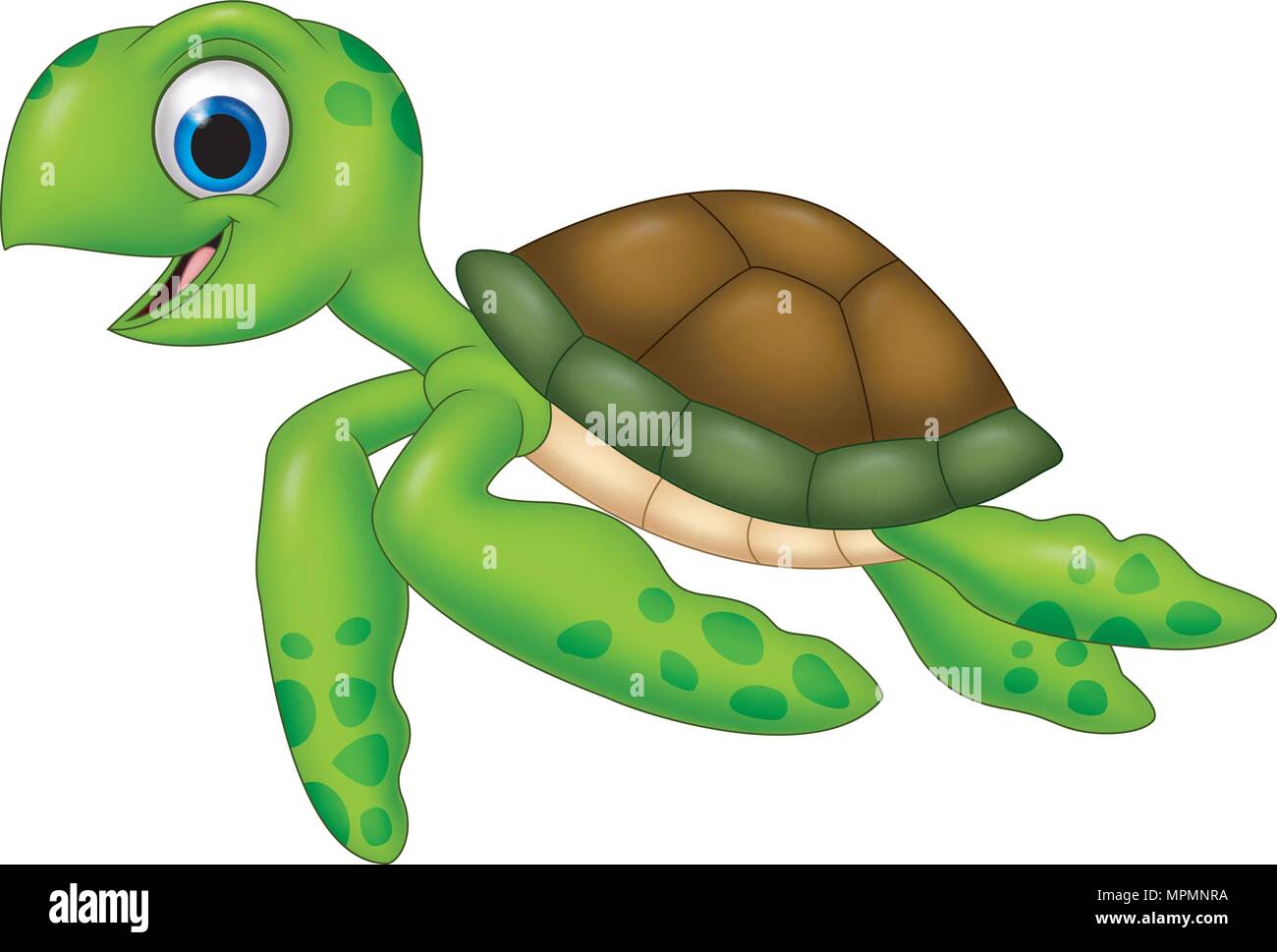 Cartoon Schildkrote Auf Weissem Hintergrund Stock Vektorgrafik Alamy