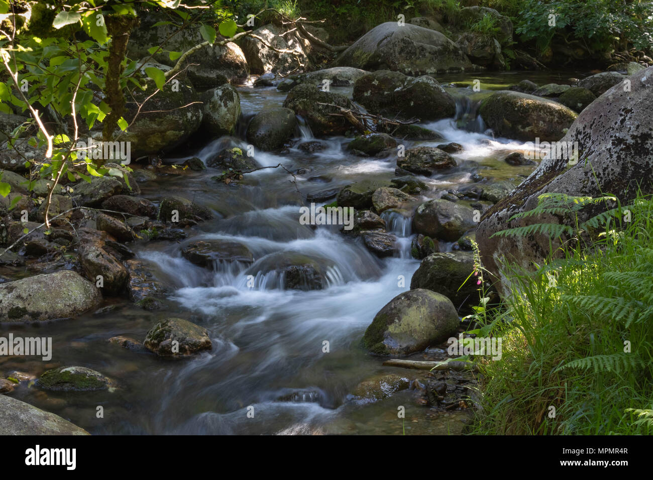 Fließendes Wasser Bach, Wasserfall, Märchenwald, Zeitlupe, vivd grüne Farbe Stockfoto