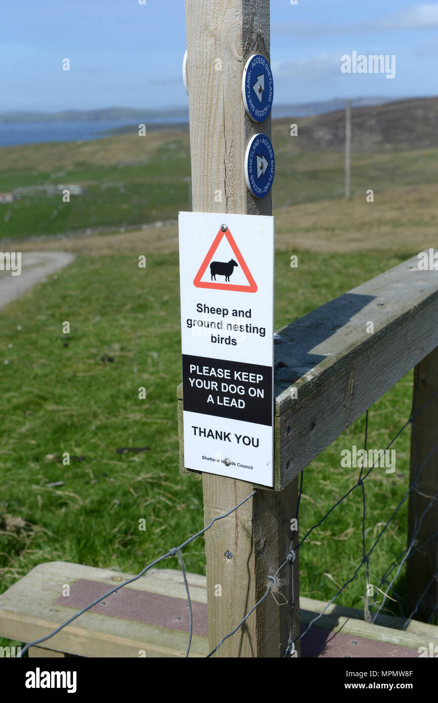 Zeichen auf Zaun Pfosten am Bauernhof bitte Hund auf der Leitung, die Schafe und Boden brütende Vögel halten Stockfoto