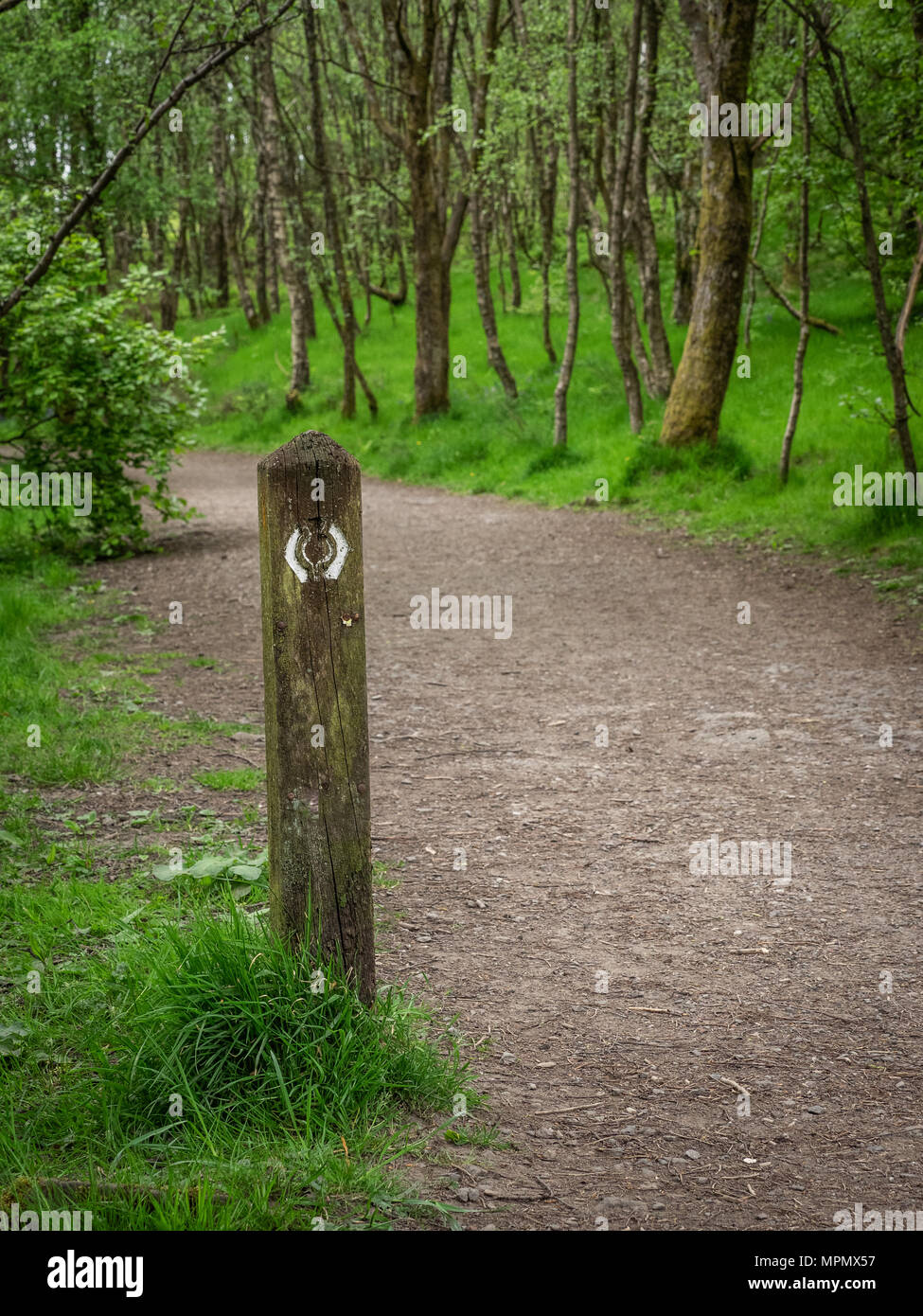 Der West Highland Way erstreckt sich 96 Meilen (154 km) von milngavie nach Fort William, die in einer Vielzahl von Landschaften. Die Route ist sehr beliebt und gut s Stockfoto