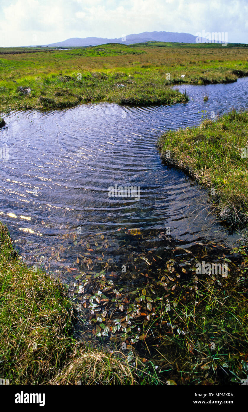 Flächenmoore, Roundstone Roundstone, Connemara, County Galway, Irland. Stockfoto