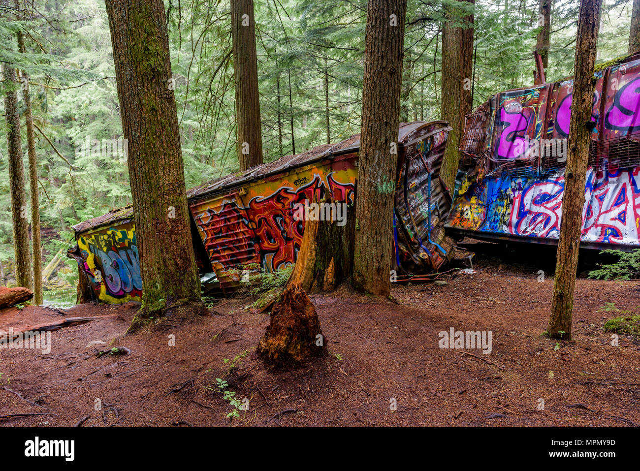 Whistler Zugwrack, Graffiti, twisted Wagen in den Wald in der Nähe des Flusses Cheakamus, Whistler, British Columbia, Kanada verstreut. Stockfoto