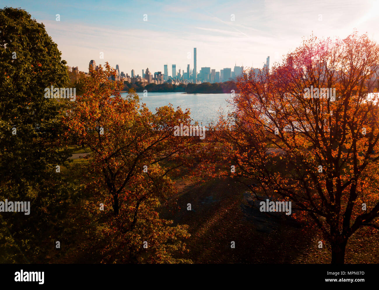 New York Gebäude aus der Bäume im Central Park Luftbild Stockfoto