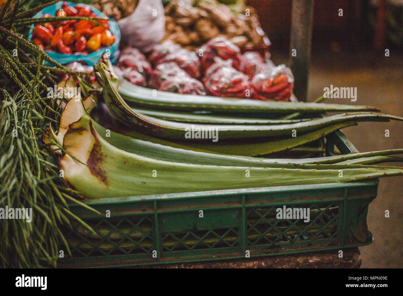 Herbst Ernte von frischem Obst und Gemüse zum Verkauf auf einen Markt in Cali, Kolumbien, Abschaltdruck Stockfoto