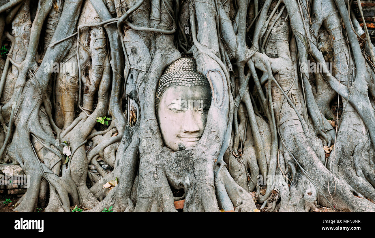 Thailand, Ayutthaya, Buddha Kopf zwischen Baumwurzeln im Wat Mahathat Stockfoto