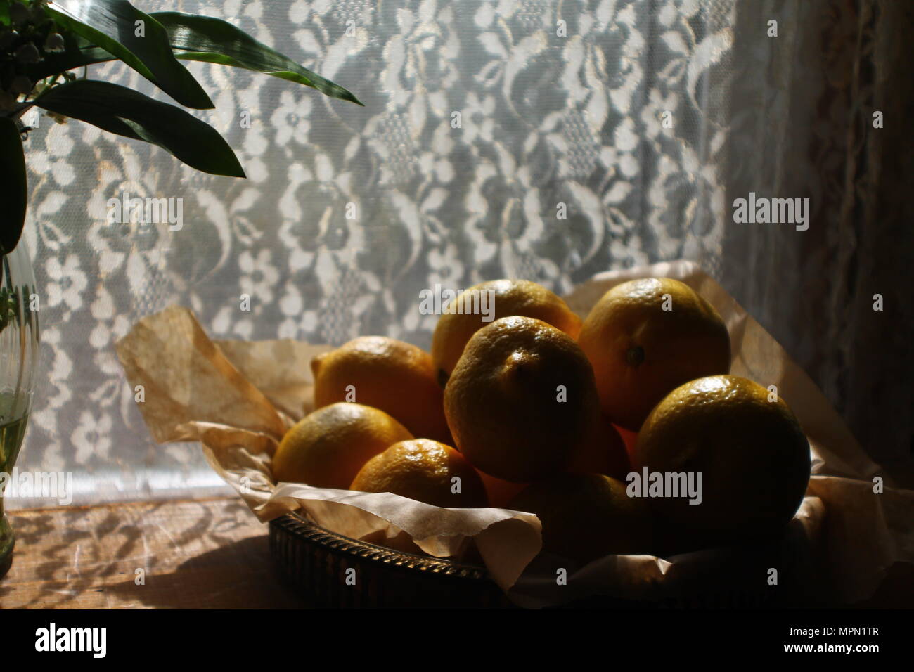 Zitronen in einem Jahrgang Fach vor Gardinen Stockfoto