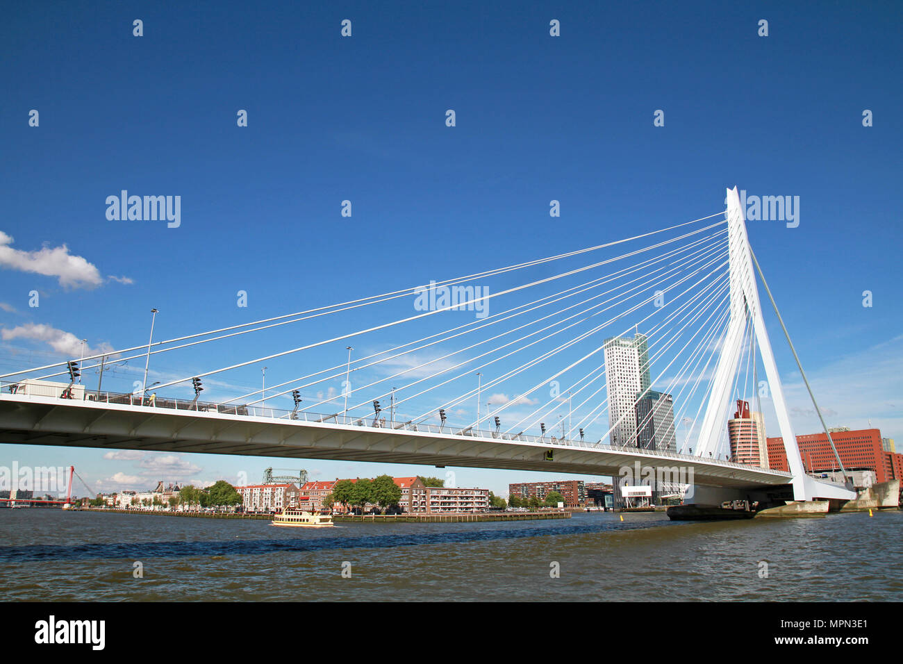 Erasmusbrücke in Rotterdam Stockfoto