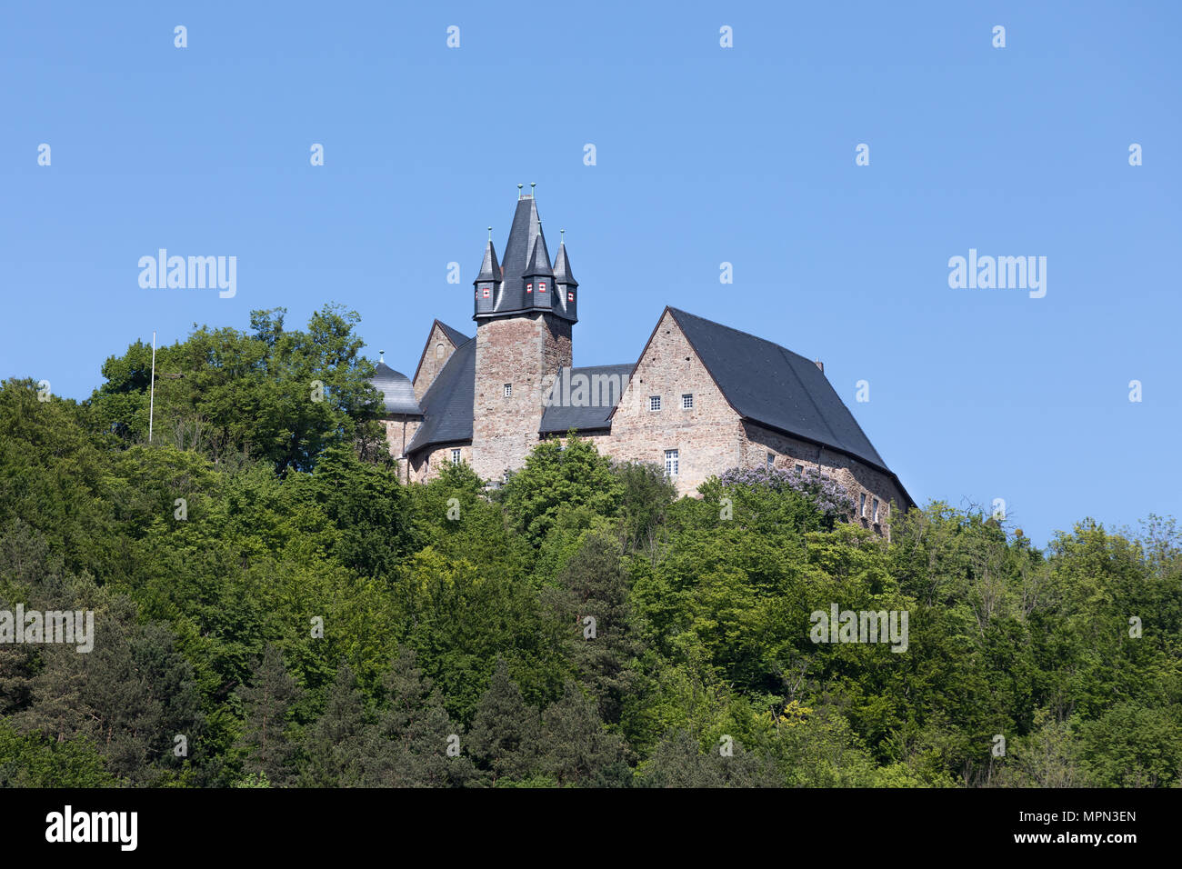 Burg Spangenberg auf bewaldeten Hügel Stockfoto