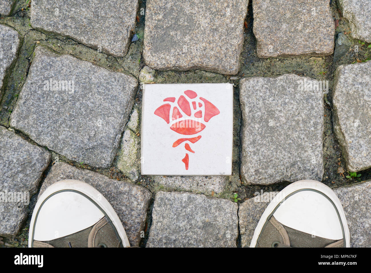 Rose Route in Hildesheim Deutschland, Pflastersteine mit keramischen Plaketten mit rose Symbol markieren Self-guided sightseeing tour Stockfoto