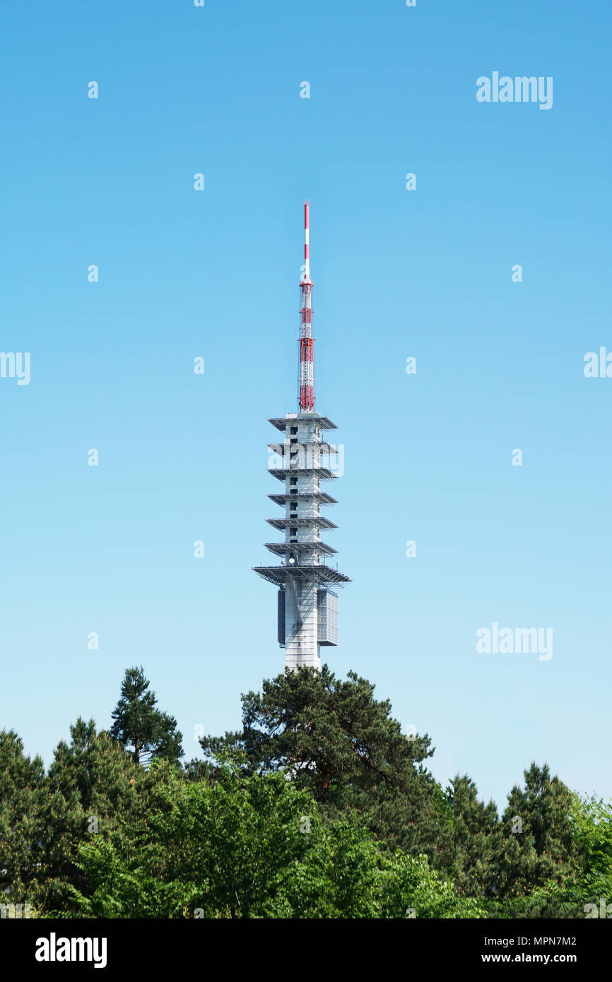 Baumkrone Blick auf Telekommunikation Turm für Fernsehen und Radio Übertragung Stockfoto