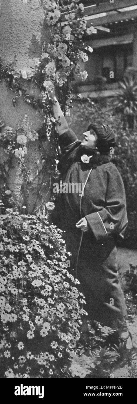 "Amelita Galli-Curci - Die große Diva Sammeln von Rosen, ihre Lieblingsblumen', c 1925. Artist: Unbekannt. Stockfoto