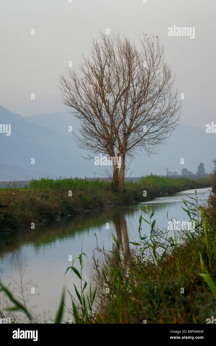 Israel, Hula Valley, Agmon See winter Januar Stockfoto