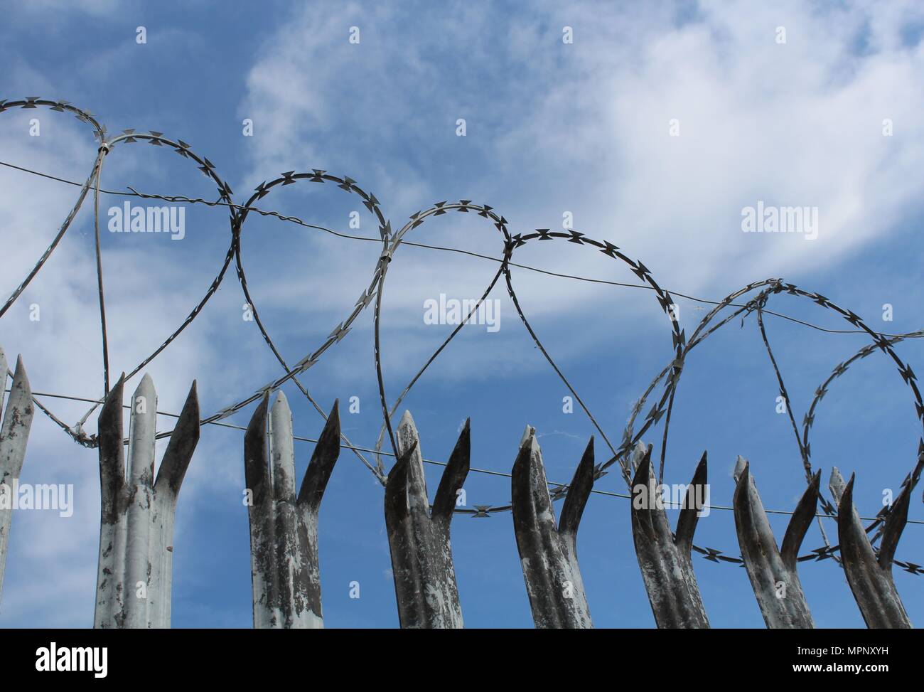 Stacheldraht Liebe Stockfoto