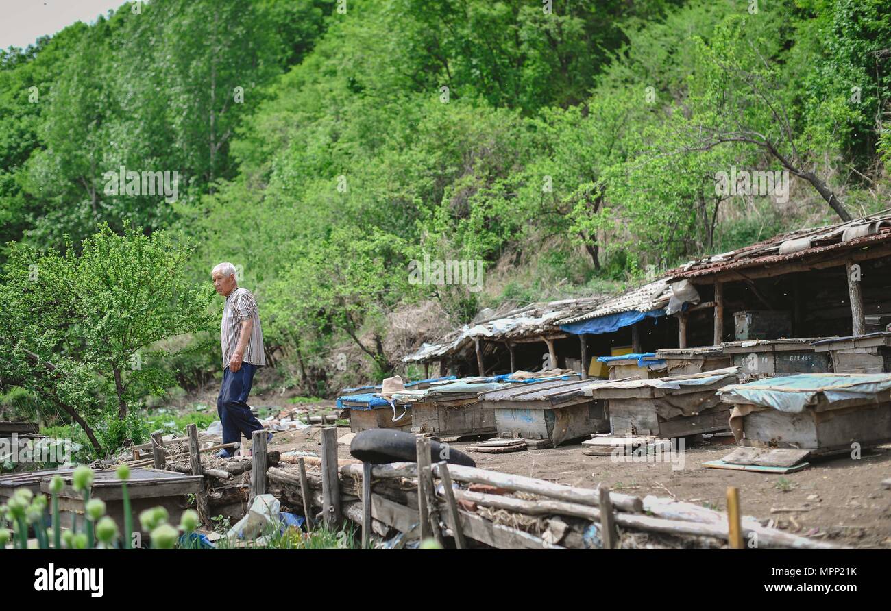 Wangqing. 22. Mai, 2018. Liu Zailong geht zurück nach Hause nach Kontrolle der Bienenstock in Dongtai Dorf Wangqing County im Nordosten Chinas in der Provinz Jilin, 22. Mai 2018. Liu Zailong, in seinen 80ern, arbeitet als imker Einkommen zu erhöhen, wie das Dorf listen Imkerei als einer der Armut - Armutsbekämpfung Projekte. Credit: Xu Chang/Xinhua/Alamy leben Nachrichten Stockfoto