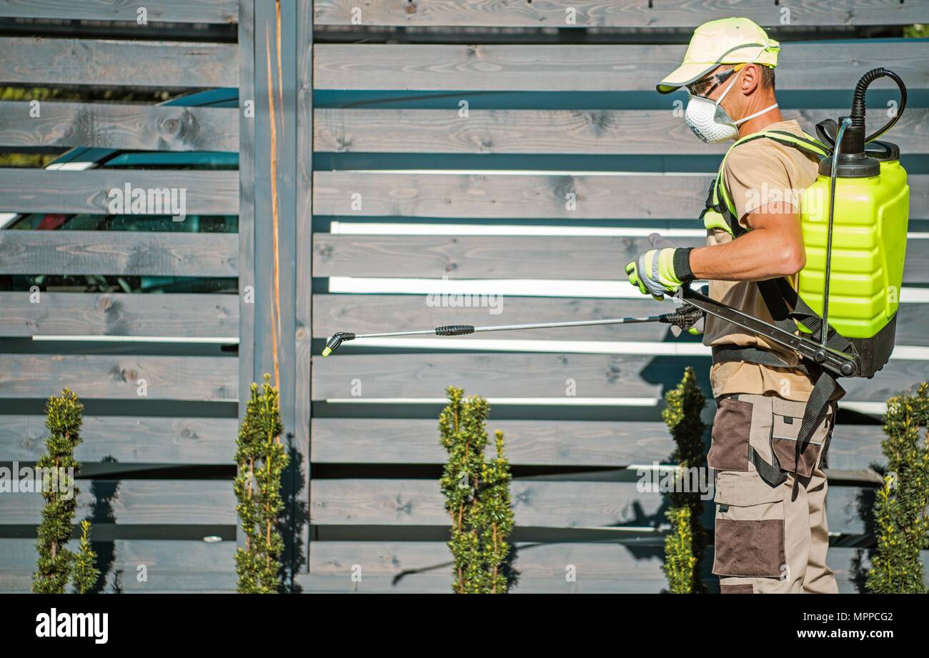 Garten Insektizid Job. Kaukasische Garten Arbeiter kämpfen Pflanzen Insekten mit Hilfe Bio Active Brühe. Stockfoto