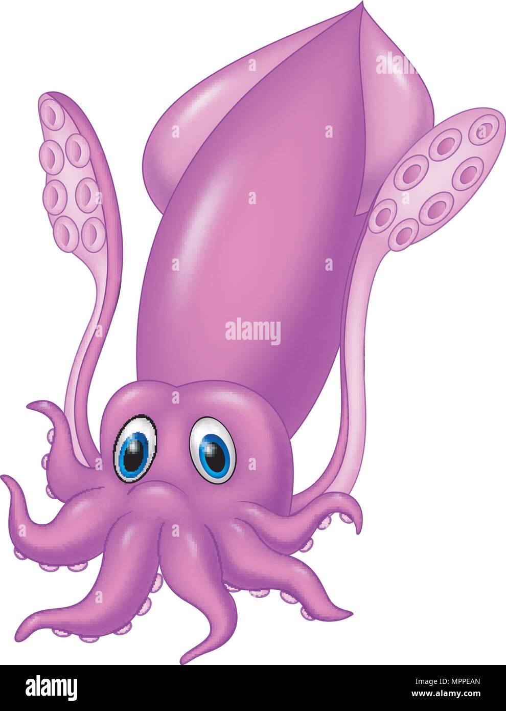 pix Cute Squid Pictures https www alamy de cute squid cartoon image186120333 html