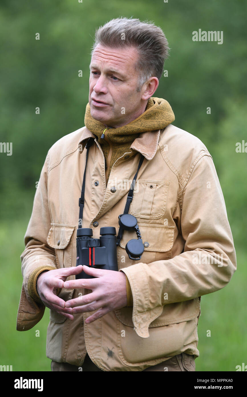 Die TV-Moderatorin und Naturforscher Chris Packham nach dem Release von karierten skipper Schmetterlinge in Rockingham Wald, Northamptonshire, England wieder eingeführt werden, als Teil der vom Rand Projekt, nach der Spezies 1976 verschwunden. Stockfoto