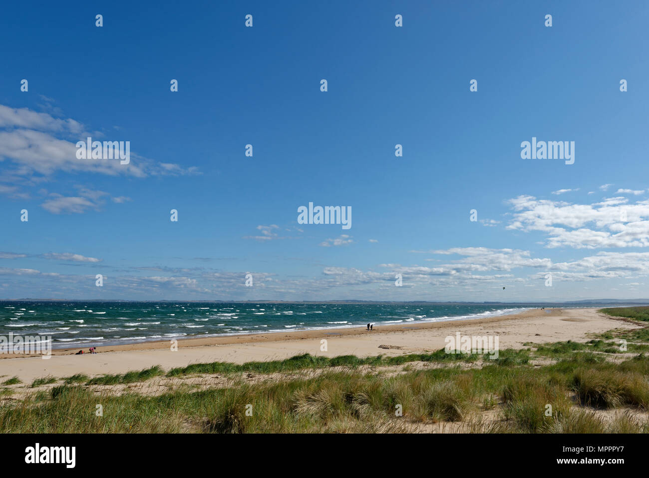 Vereinigtes Königreich, Schottland, Highland, Sutherland, Caithness, Strand von Dornoch Stockfoto