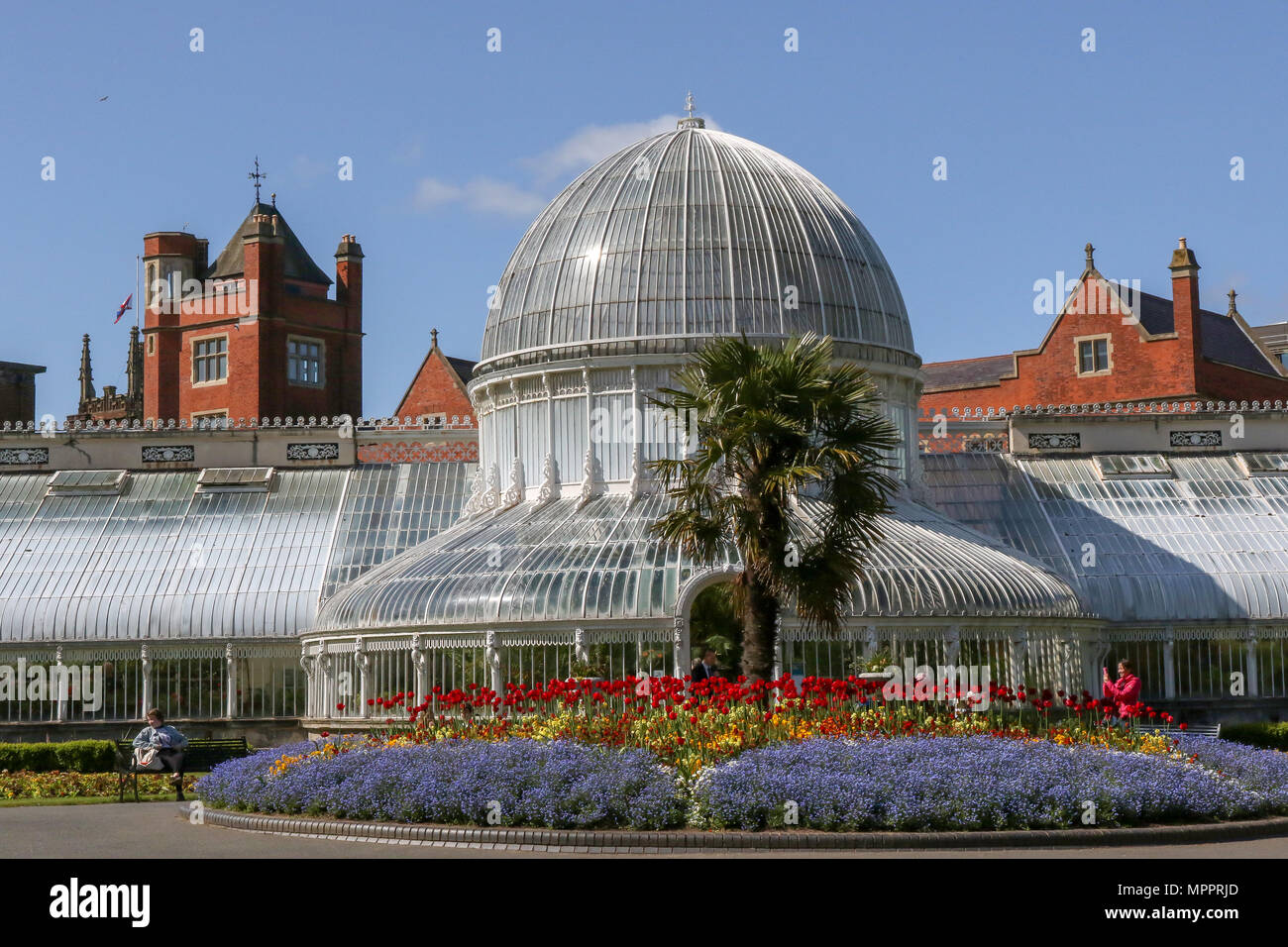 Die Hot House oder Palmenhaus im Botanischen Garten, Belfast, Nordirland. Stockfoto