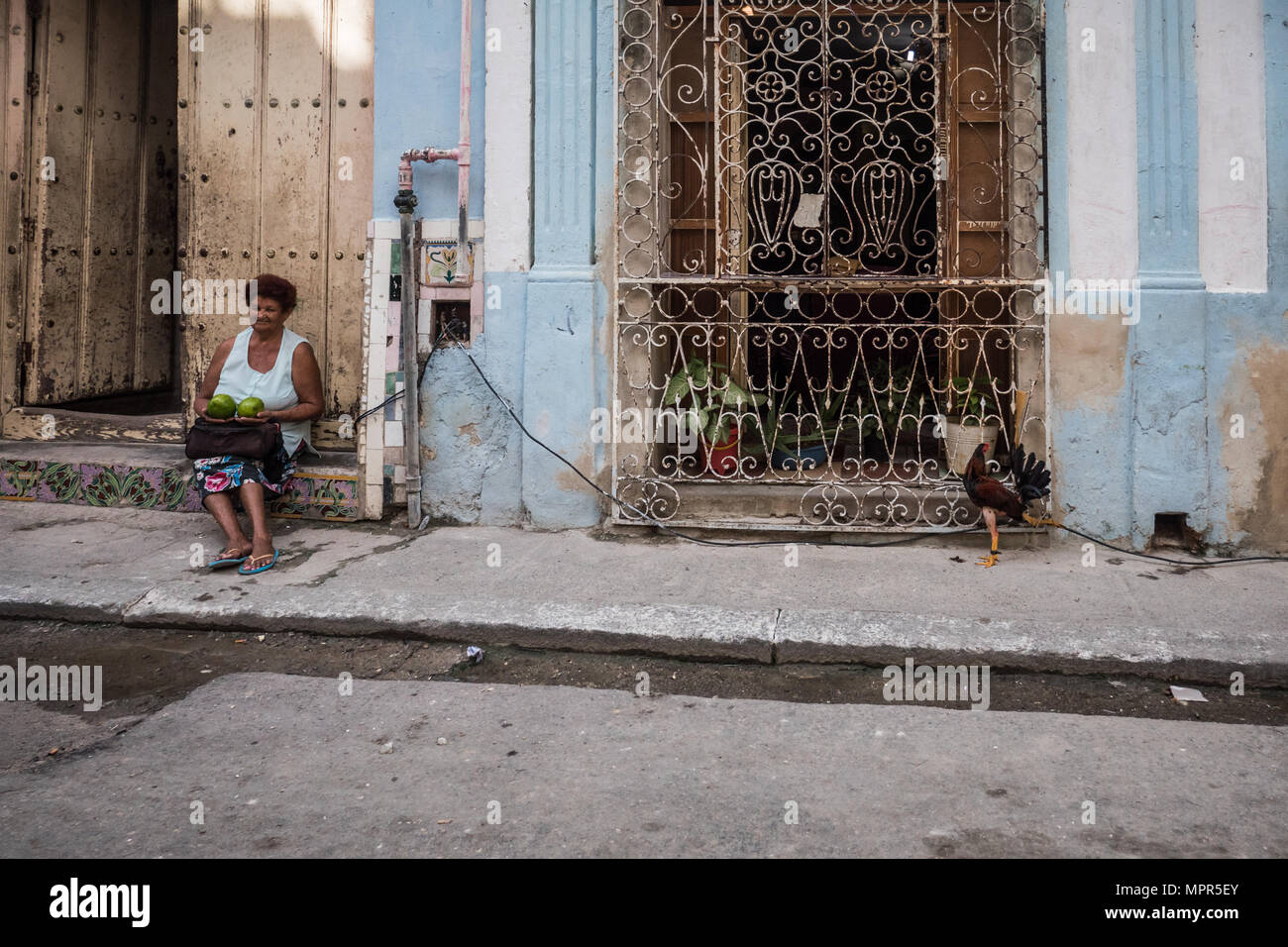 Reife damen in Havana