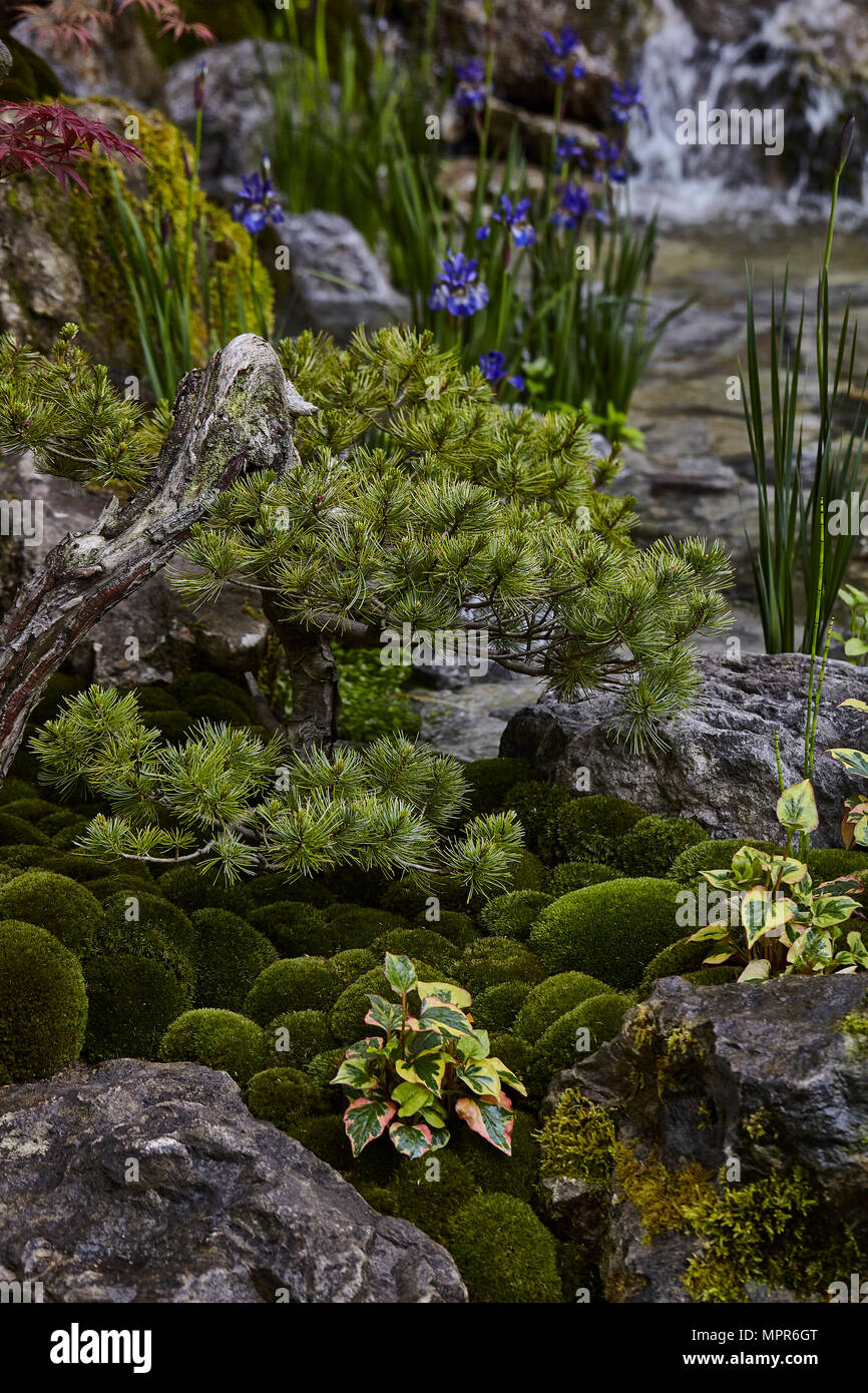 NIWA die Gastfreundschaft Garten Chelsea 2018 Stockfoto