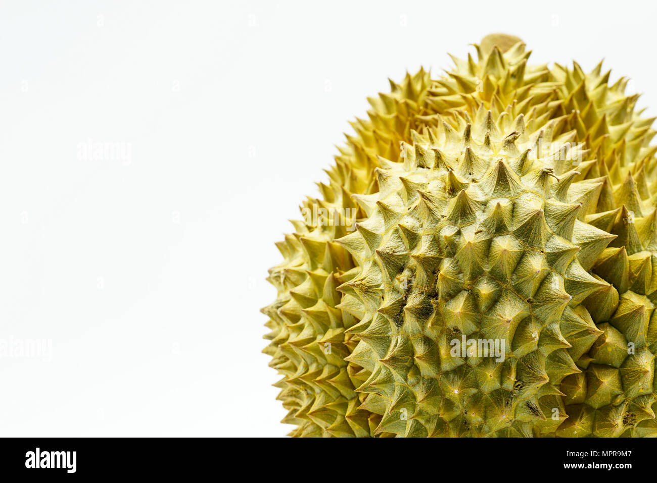 Frisch Monthong Durian auf weißem Hintergrund, Detailansicht der Durian, Monthong Durian. Mon Thong. Schöne Durian Durian D158. Stockfoto